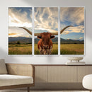 Texas Longhorn Canvas Wall Art – Majestic Triptych Animal by MyGreatCanvas | Canvas Wall Art Prints | Photo Prints & Wall Decor