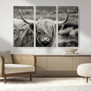 Cow Focus Canvas Wall Art Print by MyGreatCanvas | Canvas Wall Art Prints | Photo Prints & Wall Decor