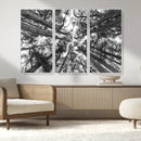 Trees Contemporary Art Canvas Print by MyGreatCanvas | Canvas Wall Art Prints | Photo Prints & Wall Decor