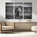 Fluffy Cattle Wall Art Print, Highland Cow Canvas, Framed by MyGreatCanvas | Canvas Wall Art Prints | Photo Prints & Wall Decor
