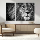Black and White Lion Canvas Wall Art Print – Wildlife