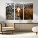 Framed Big Cow Animal Wall Art Canvas Print by MyGreatCanvas | Canvas Wall Art Prints | Photo Prints & Wall Decor