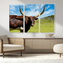 Longhorn and Cow Wall Art, Country Cow Wall Decor Canvas by MyGreatCanvas | Canvas Wall Art Prints | Photo Prints & Wall Decor