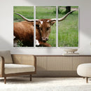 Longhorn Cow Animal Wall Art Canvas Print by MyGreatCanvas | Canvas Wall Art Prints | Photo Prints & Wall Decor