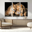 Lion and Lioness Wall Art Canvas Print – Framed African