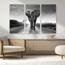 Black and White Elephant Wall Art Canvas Print