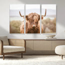 Scottish Serene Highland Cow Canvas Wall Art – Serene