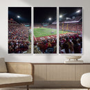 Washington-Grizzly Stadium Canvas Print, American Football