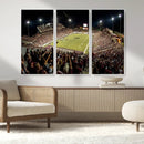 Washington-Grizzly Stadium Canvas Print, American Football