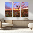 Arizona Desert Wall Art Canvas Print - Framed Deser Sunset