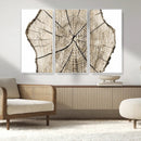 Abstract Wood Tree Ring Wall Art - Ready to Hang Minimalist