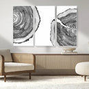 Abstract Large Tree Rings – Minimalist Black and White Wood