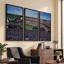 South Carolina Gamecocks Football Team Print - Columbia
