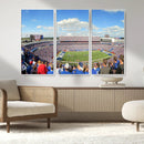 Buffalo Bills NFL Football Team Print - Buffalo Highmark
