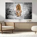 Jaguar Wall Art Canvas Print - Majestic Big Cat in Focused by MyGreatCanvas | Canvas Wall Art Prints | Photo Prints & Wall Decor