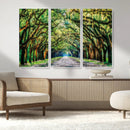 Serene Tree Tunnel Wall Art Canvas Print – Pathway Under by MyGreatCanvas | Canvas Wall Art Prints | Photo Prints & Wall Decor