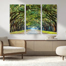 Wormsloe State Plantation Driveway Wall Art Canvas Print by MyGreatCanvas | Canvas Wall Art Prints | Photo Prints & Wall Decor