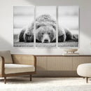 Resting Grizzly Bear Wall Art Canvas Print – Majestic Lazy by MyGreatCanvas | Canvas Wall Art Prints | Photo Prints & Wall Decor