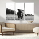 Black and White Highland Cow Wall Art Canvas Print | Rustic