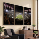 Eagles Field Stadium Wall Art - Philadelphia Eagles Football