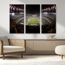 Eagles Field Stadium Wall Art - Philadelphia Eagles Football