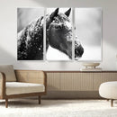 Horse Canvas Print - Winter Horse Snow Wall Art Canvas Print by MyGreatCanvas | Canvas Wall Art Prints | Photo Prints & Wall Decor