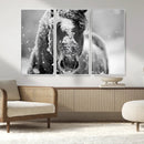Black and White Horse Winter Wall Art | Ready to Hang and
