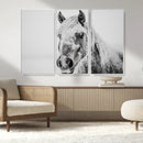 White Horse Wall Art | Ready to Hang and Framed | Winter