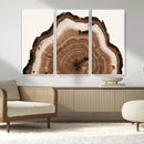Rustic Wood Rings Wall Art | Nature-Inspired Tree Ring