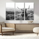 Scottish Highland Cow Wall Art | Black and White Canvas