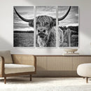 Scottish Highland Cow Wall Art Canvas Print | Ready to Hang