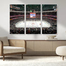 Honda Center California Anaheim Ducks Ice Hockey Stadium