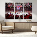 Carolina Hurricanes Ice Hockey Stadium Wall Art, Carolina