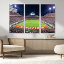 NC State Wolfpack Canvas Print - Raleigh Carter-Finley