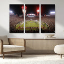 Framed Florida State Seminoles Football Team Print -