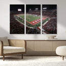 Houston Cougars Football Team Print - Houston TDECU Stadium