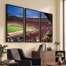 Wisconsin Badgers Football Team Print - Madison Camp Randall