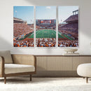 Framed Texas Memorial Stadium Canvas, University of Texas