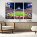 Wolfpack Football Team Print - Raleigh Carter-Finley Stadium