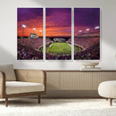 East Carolina University Pirates Football Print Canvas-