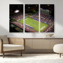 Florida Atlantic University Owls Canvas Print, Football Team by MyGreatCanvas | Canvas Wall Art Prints | Photo Prints & Wall Decor