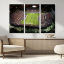 Florida Atlantic University Owls Football Team Print - Boca by MyGreatCanvas | Canvas Wall Art Prints | Photo Prints & Wall Decor