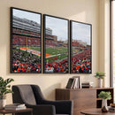 University of Illinois Fighting Illini Football Team Print -