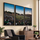 University of Charlotte 49ers Football Team Print -