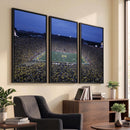 University of Michigan Wolverines Football Team Print - Ann