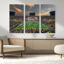 University of Michigan Wolverines Print Canvas, Football