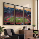 Arizona Wildcats Football Team Print - Tucson Arizona