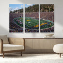 University of California Golden Bears Football Team Print - by MyGreatCanvas | Canvas Wall Art Prints | Photo Prints & Wall Decor