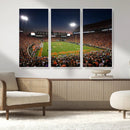 Clemson University Tigers Art Print, Football Team Print -