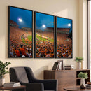 Clemson University Tigers Football Team Print - Clemson